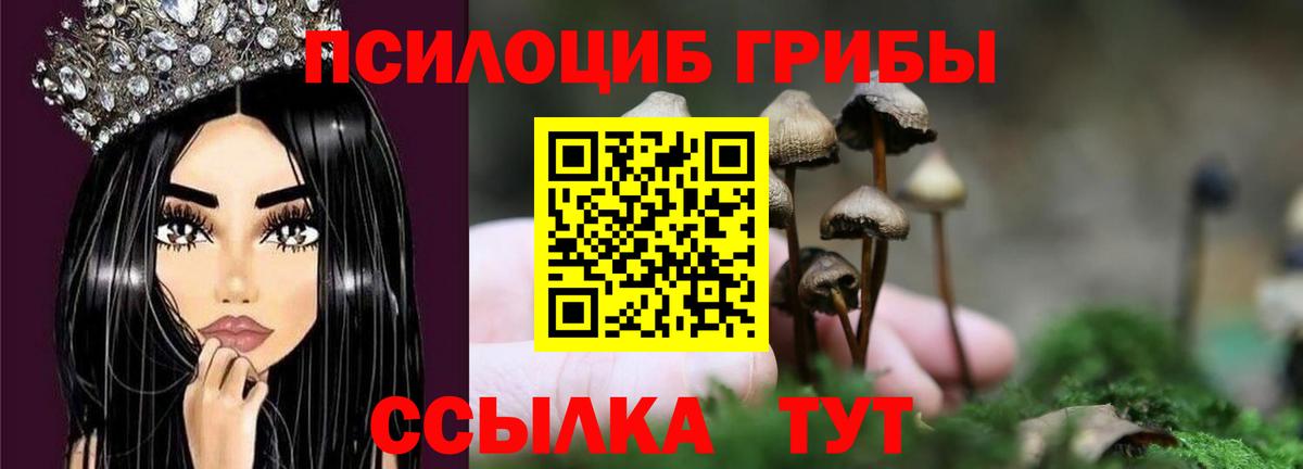 Галлюциногенные грибы Psilocybine cubensis  Галлюциногенные грибы ЛСД  Вход с VPN  Старая Купавна 